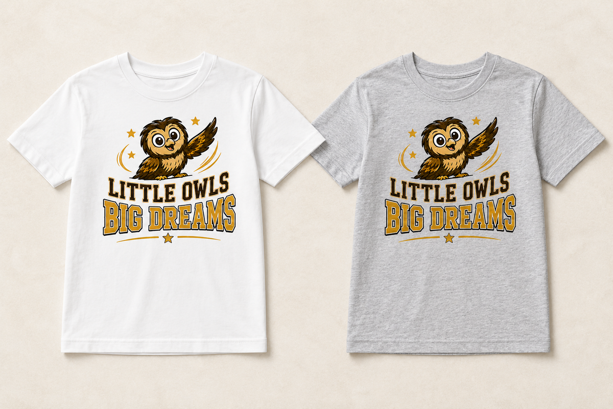 Little Owls Big Dreams