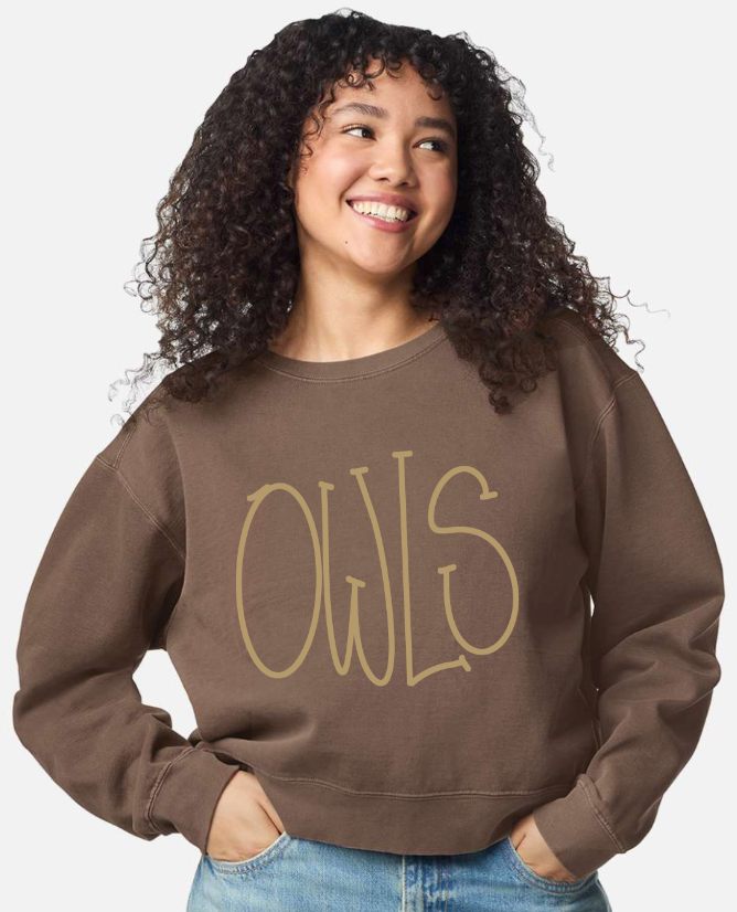Windsor Owls Doodle Cropped Sweatshirt